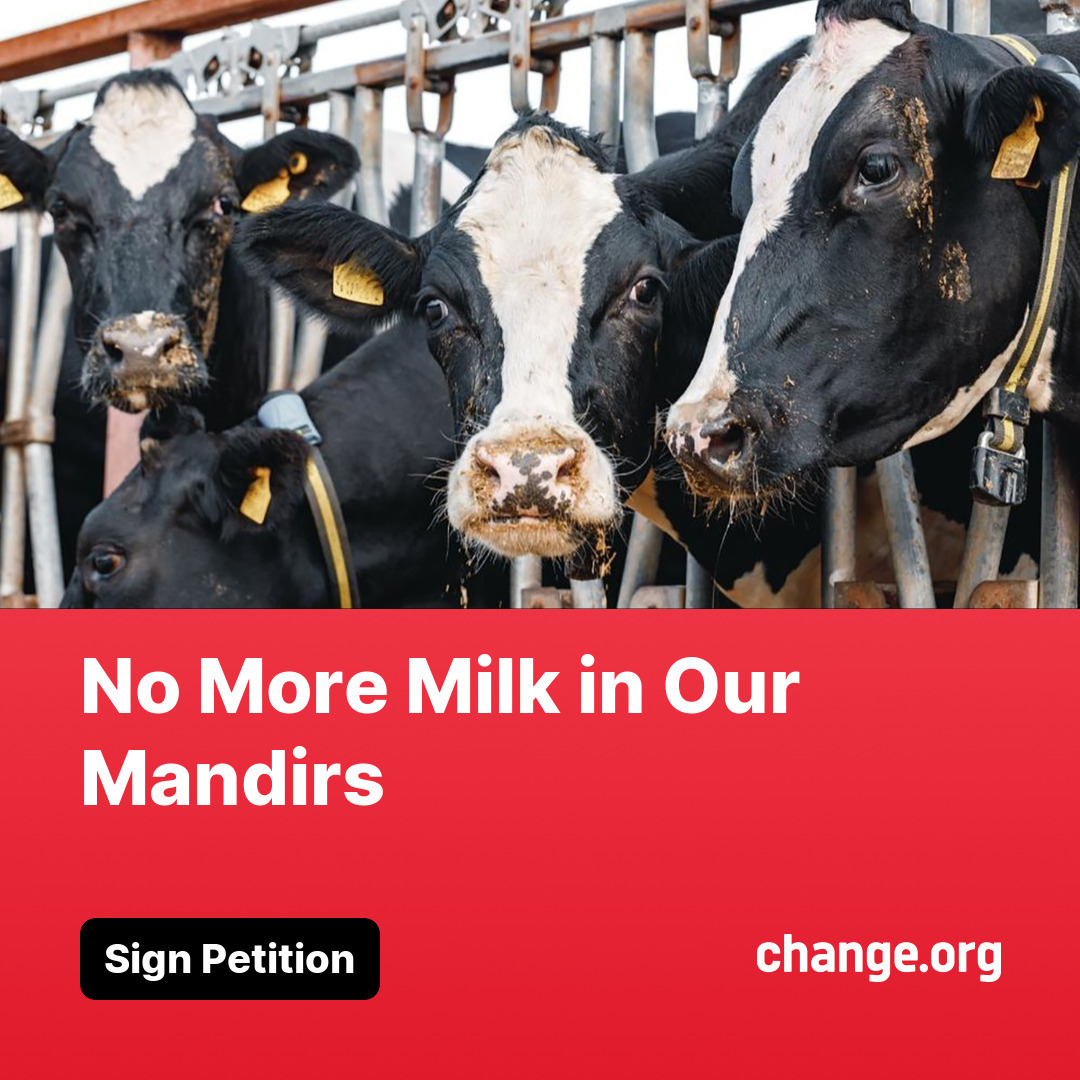 Sign the Petition